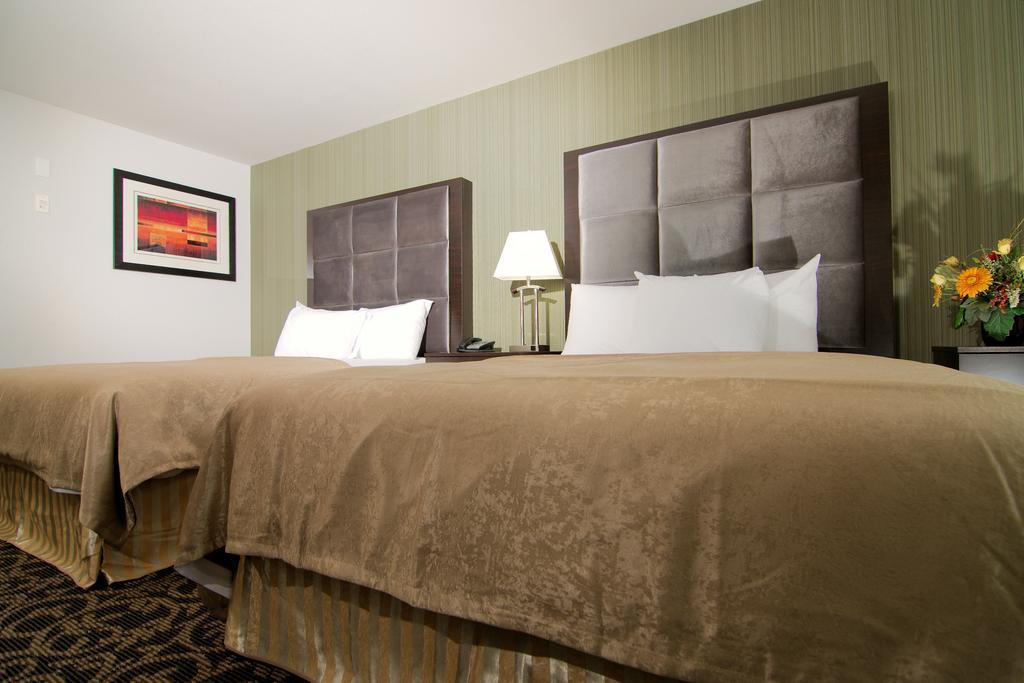 Paradise Inn And Suites Redwater Стая снимка