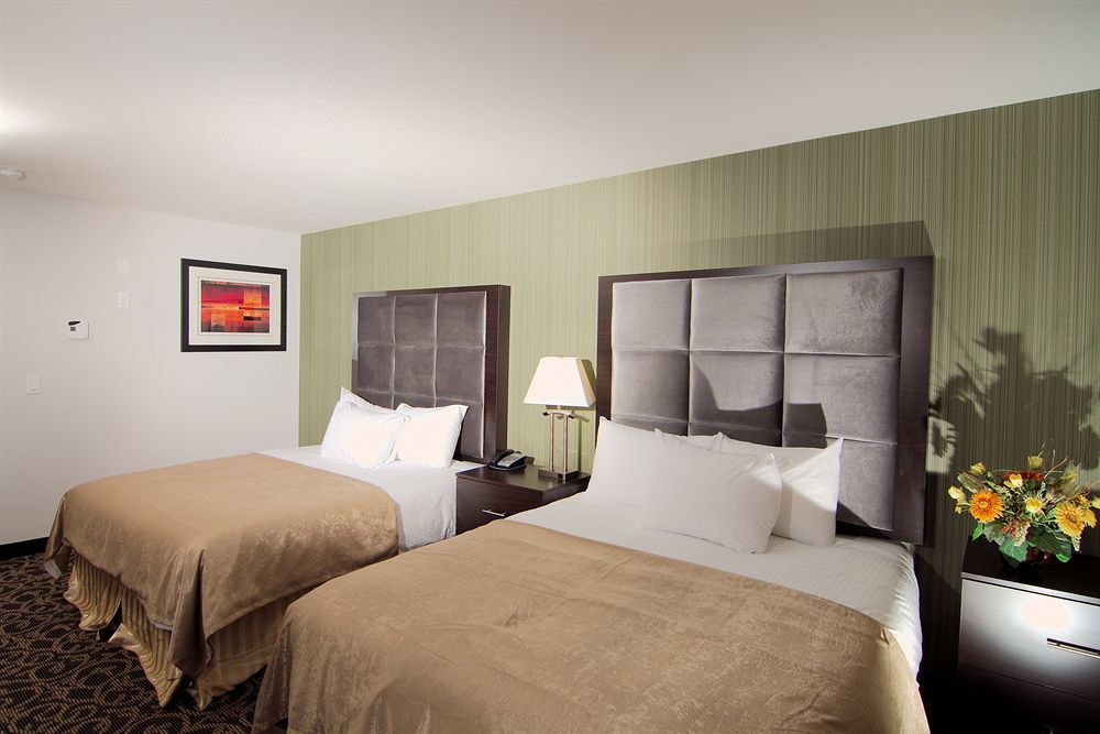 Paradise Inn And Suites Redwater Екстериор снимка